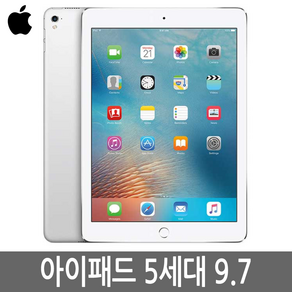 아이패드5세대 32GB 128GB WiFi 셀룰러 기가 정품, Wi-Fi+Cellula