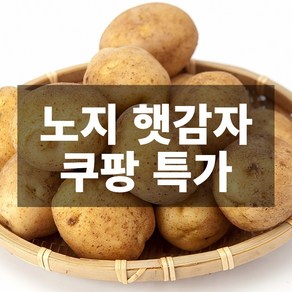 나만의건강by설리마켓 산지직송 국내산 노지 햇감자 5kg 10kg, 1박스, 10kg(특대형)