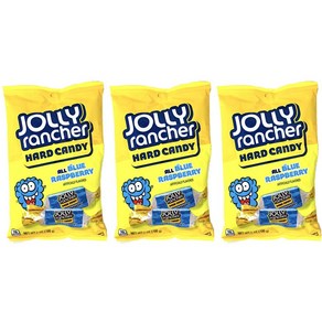 Jolly Ranche Had Candy All Blue Raspbey 7 Ounc Jolly Ranche 하드 캔디 올 블루 라즈베리 7온스 봉지 개별 포장 블루 캔디(, 3개, 198g