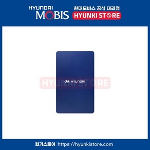 NFC 카드 키 (S8954AP000)