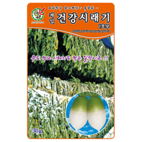 오스템바이오 건강시래기1호무 30g 500g 종자 씨앗 무 시래기 무청 가을 김장배추, 1개