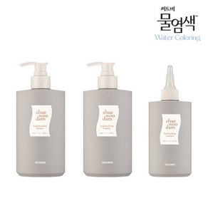 씨드비 채우담 영양 샴푸 트리트먼트 패키지 (두피영양샴푸 500ml 2+모발영양 트리트먼트 300ml 1), 단일속성, 1개