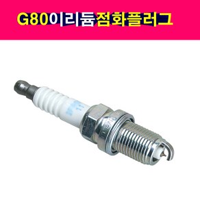 제네시스 G80 이리듐점화플러그 NGK 18849-11070, 1개