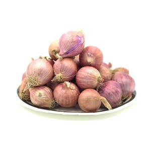 ed onion 적색 양파 수입 모충 샬롯 작은사이즈 빨간양파 1-10kg shallot small size, 1개