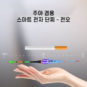 전오 단찌 스마트 변색 전자찌 짧은 찌 케미 캐미 겨울 낮은 수심 얼음 새우 민물 수초용, 전오QS-04 부력 2.5g, 1개, 전오QS-04 2.5g