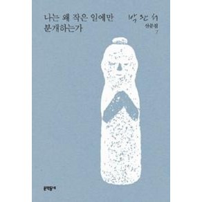 나는 왜 작은 일에만 분개하는가, 문학동네, 박완서