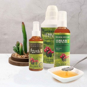 천년비결 천년초 '식이섬유등 점액질이 풍부한' 진한숙성발효 건강겔 150ml 200ml 500ml, 1개