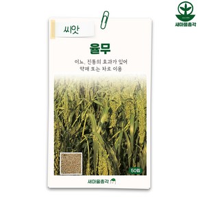 다농 율무 씨앗 50립 곡물 씨 종자, 1개
