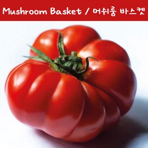 머쉬룸 바스켓 Mushoom Basket 달콤한 희귀토마토 교육용 체험용세트, 1개