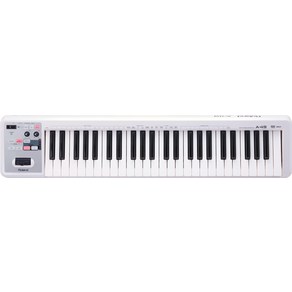 Roland MIDI Keyboard Controller 화이트 A-49-WH