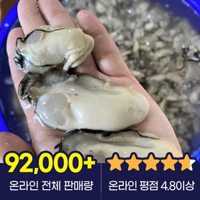 통영 굴 생굴 하프셀 석화, 1개, 생굴(대)1kg