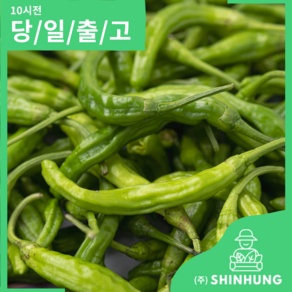 꽈리고추 국내산 가정용 못난이 [신흥유통], 꽈리고추 1kg 내외, 1개