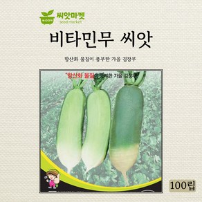 세계종묘 비타민무 씨앗 100립, 1개