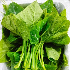 호박잎, 호박잎 500g, 1개