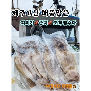 제주 반건조 준치 5마리, 1개