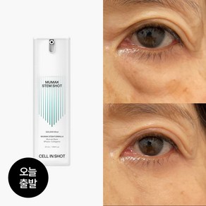 셀인샷 본사출고 무막스템샷 세럼, 1개, 30ml