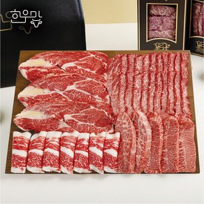 [한우맘] 한우 모듬구이 선물세트 0.9kg, 1개