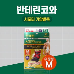 반테린코와 서포터 가압발목 보호대 우 M