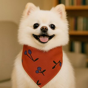 강아지 고양이 똑딱이 패션스카프 귀여운 턱받이 아이즈펫 외출템, 1개, 블루체리