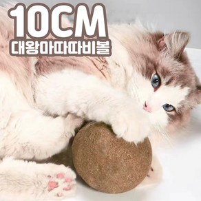 코야미 왕마따따비볼 고양이 장난감