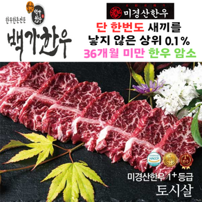 미경산한우 1+ 토시살 300g, 1개