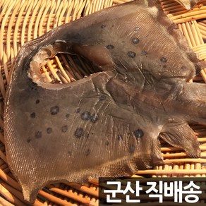 장스토어 반건조 가오리 700g~2.1kg 군산항 위생건조장 직송, 가오리 (왕특대) 2미 (약 1.6kg), 1세트