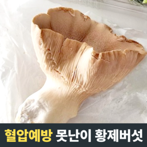 [혈압예방] 못난이 황제버섯 설원버섯 무농약 유기농 우리버섯 부드러운식감 버섯요리 무농약설원버섯, 1개, 5kg