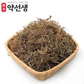 약초약선생 국산 비단풀 땅빈대 100g, 1개