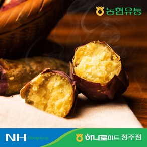 [농협] GAP 베니하루카 꿀 햇 고구마 호박고구마 3kg/5kg