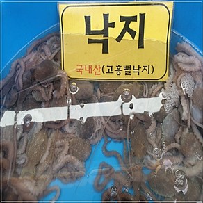 고흥 뻘낙지 소낙지 한입거리 30g~60g 내외 5마리 탕탕이 산소포장, 1개