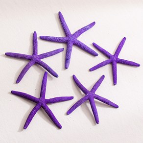 [데코봉봉] 퍼플 불가사리 5개 9cm 바다 오브제 여름소품