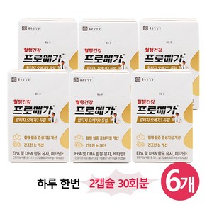 종근당건강 프로메가 알티지 오메가3 듀얼 플러스, 6개, 30회분