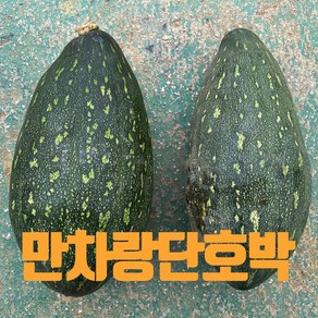 [산지직송] 국내산 미니단호박 밤 단호박 보우짱 달콤, 1박스, 만차랑 단호박8kg(4-6개)