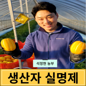 [생산자직송] 고당도 최상급 성주 참외 3kg 5kg 10kg, 1세트, [가정용] 로얄과 2kg