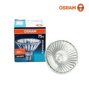 OSRAM PAR30 할로겐 전구색, 14개