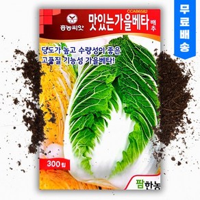 맛있는가을베타 김장배추씨앗 300립 베타카로틴 항암성분 기능성 가을종자