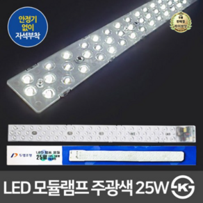 두영 LED 자석타입 모듈램프 25W