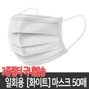 국내 평일당일배송 일회용 의료용 마스크 방역 덴탈 3중 필터 대형, 1개, 50개입