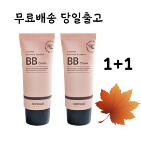 스타일픽 코코앤코 은은한광채 재생 비비크림 보습 진정 홍조 자외선차단 SPF50+PA+100ml ( 1+1 ), 1개, 100ml, 누드/베이지