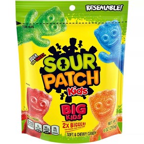 사워패치 빅 키즈 소프트 & 츄이 캔디 255g SOUR PATCH KIDS Big Kids Soft & Chewy Candy, 1개