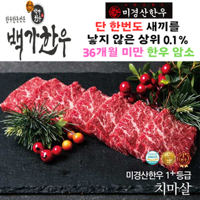 미경산한우 1+ 치마살 300g, 1세트