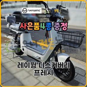 2023년형 레이윙 디스커버리 프레시 전동스쿠터 S10 48V 700W 28Ah