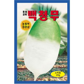 백청무 씨앗 20g 가을무씨 김장무우 종자, 1개