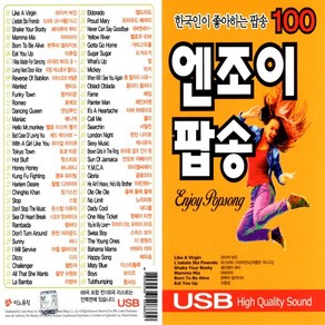 노래칩 USB 팝송 엔조이 팝송 100곡 7080팝송 모음