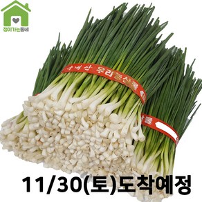 국내산 깐쪽파 쪽파 파 1단 (약1Kg)