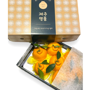 프리미엄 제주 한라봉 제철과일 가정용 선물용 2kg 3kg 5kg, 1개, 가정용 2kg