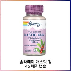 솔라레이 매스틱 검 500mg 45 베지캡슐 매스틱검 메스틱검, 1개, 45정