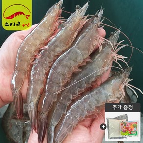 당일조업 국내산 급냉새우500g 1kg(24~28미) 쓰리고수산 (소금+초장)증정. 신안새우 활새우 왕새우 생새우 대하 흰다리새우, 1개, 급냉새우1kg(24~28미)