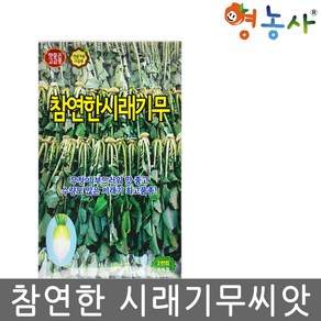 시래기무 씨앗종자 시래기 무씨 씨앗