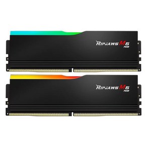 G.SKILL DDR5-5200 CL40 RIPJAWS M5 RGB 블랙 패키지 (32GB(16Gx2)), 2개